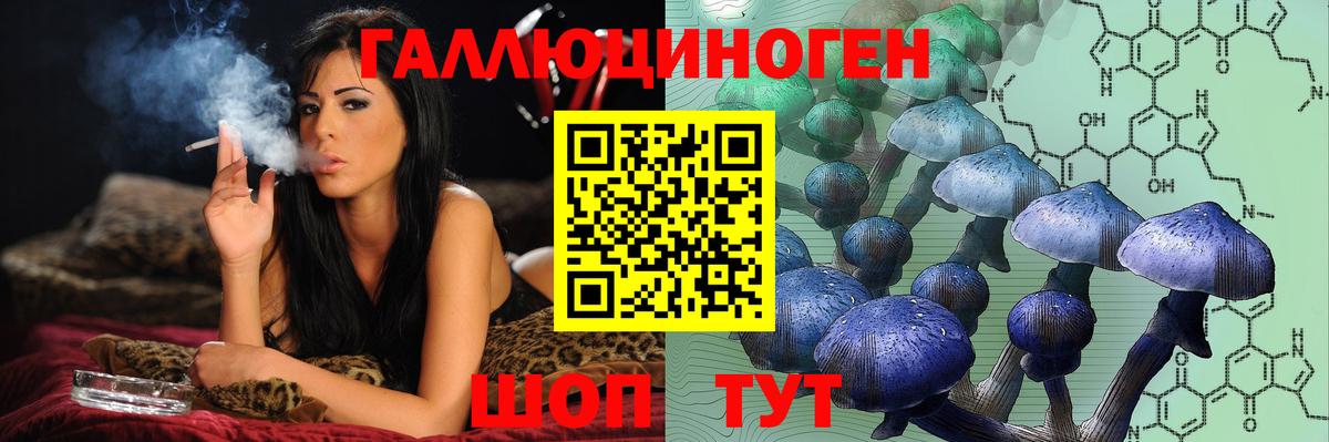 Псилоцибиновые грибы GOLDEN TEACHER  Вход с VPN  Псилоцибиновые грибы Psilocybe  Ковров 